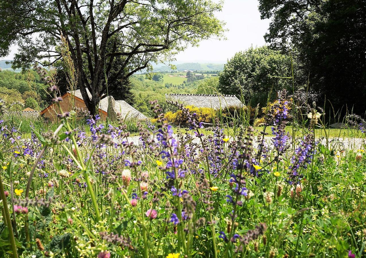 Domaine Des Marequiers Chambre Silene Saint-Germain-du-Teil Zewnętrze zdjęcie